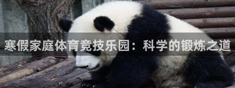 风速体育直播app：寒假家庭体育竞技乐园：科学的锻炼之道