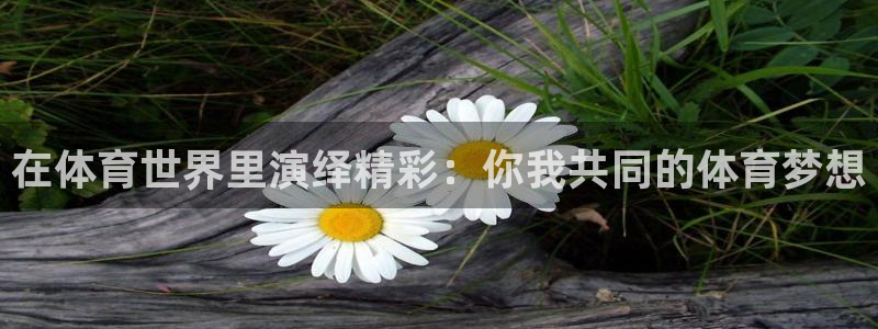 风速体育app官方下载：在体育世界里演绎精彩：你我共同的体育梦想