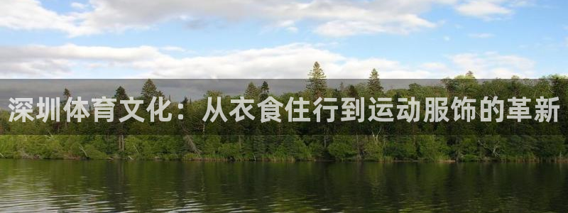 风速体育直播app：深圳体育文化：从衣食住行到运动服饰的革新