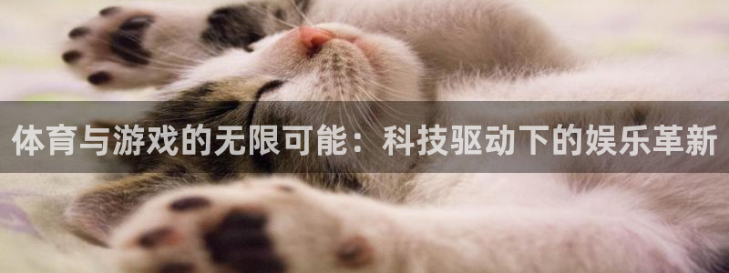 风速体育app：体育与游戏的无限可能：科技驱动下的娱乐革新