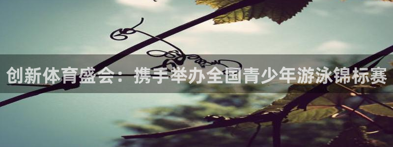 风速体育官网：创新体育盛会：携手举办全国青少年游泳锦标赛