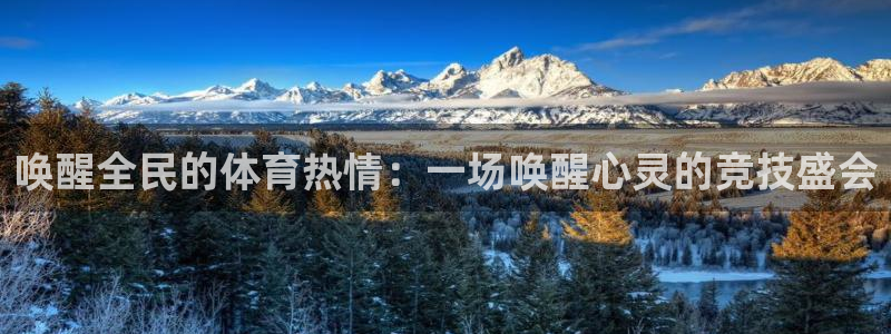 风速体育app下载官网最新版：唤醒全民的体育热情：一场唤醒心灵的竞技盛会