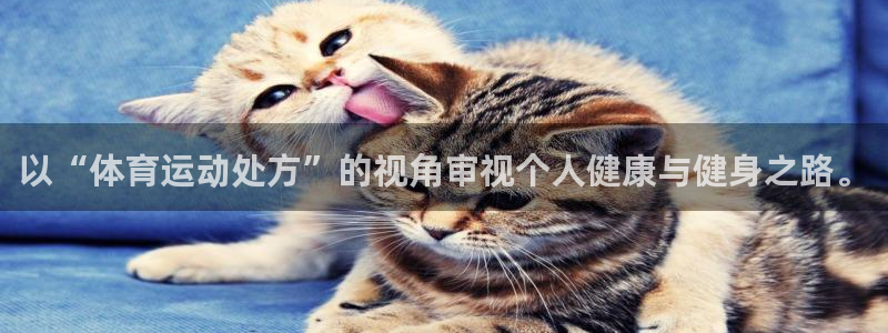 下载风速体育：以“体育运动处方”的视角审视个人健康与健身之路。
