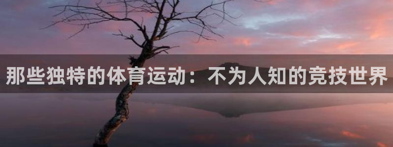 风速体育cba直播：那些独特的体育运动：不为人知的竞技世界