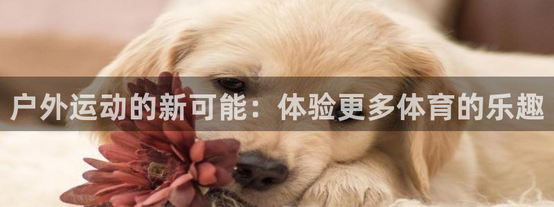 风速体育cba直播：户外运动的新可能：体验更多体育的乐趣